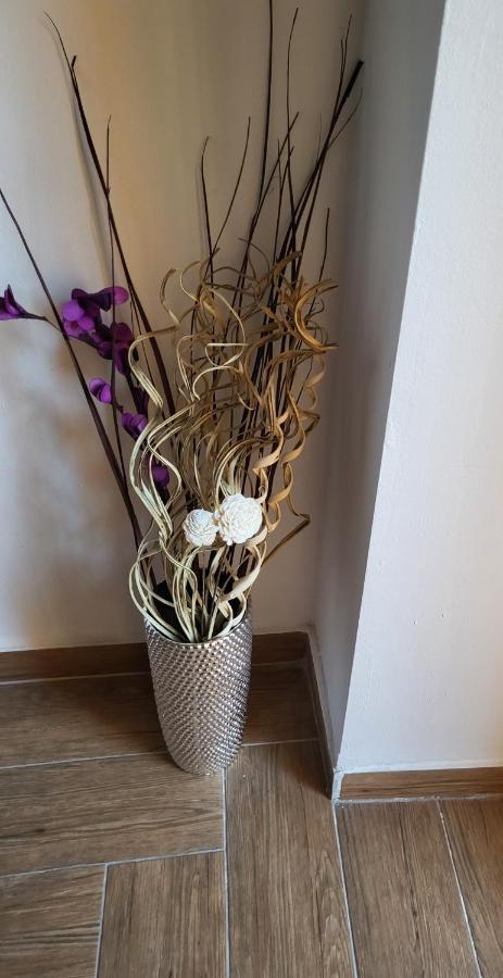 Rijeka Apartment With Free Parking And Large Balcony Zewnętrze zdjęcie
