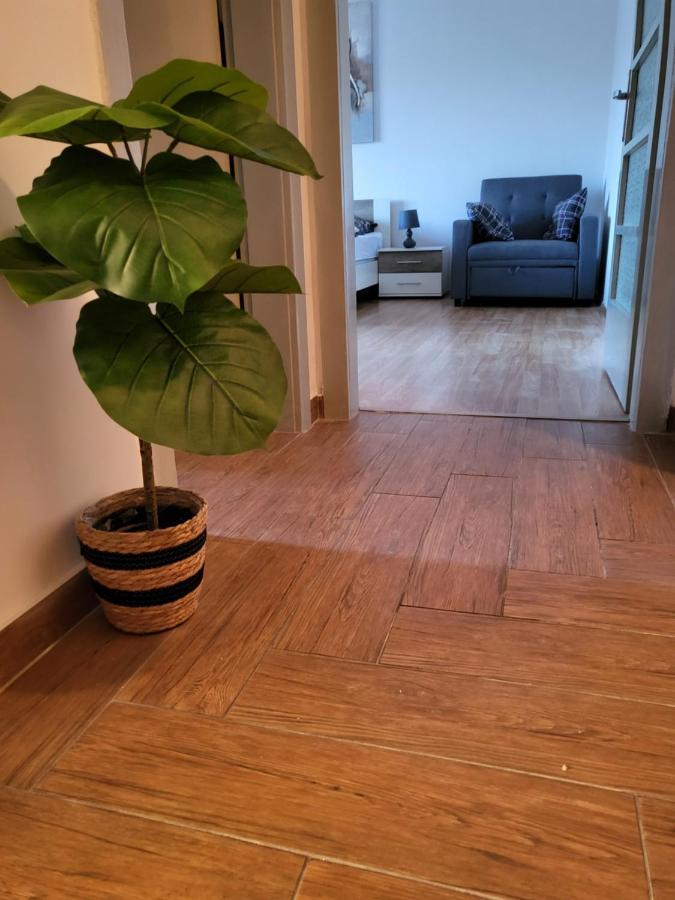 Rijeka Apartment With Free Parking And Large Balcony Zewnętrze zdjęcie